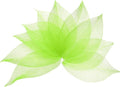 uxcell 100 Pcs Grass Green Skeleton Leaves by uxcell