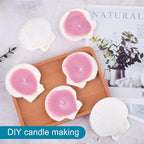 20PCS Natural Scallop Shells for Crafts & Baking - Image 4