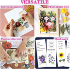 Vignee Real Dried Pressed Leaf Flowers-Multiple Colorful Pressed Flowers Daisies - Image 5