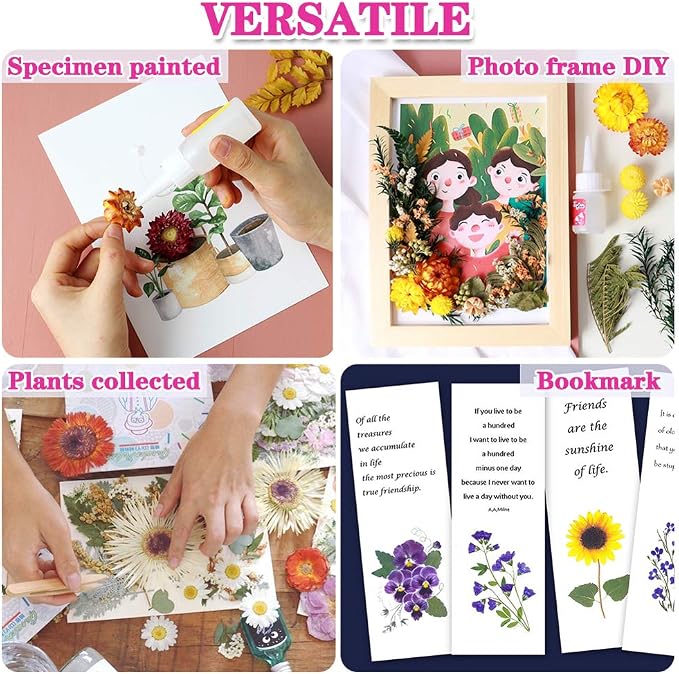 Vignee Real Dried Pressed Leaf Flowers-Multiple Colorful Pressed Flowers Daisies - Image 5