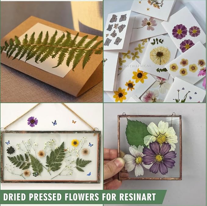 186 Pcs Dried Pressed Flowers for Resin Crafts, Real Natural Pressed Flowers - Image 5