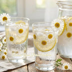 48 Pcs Natural Dried Pressed Daisy Flowers - Image 4
