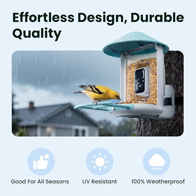 NETVUE by Birdfy Smart Bird Feeder - Image 4
