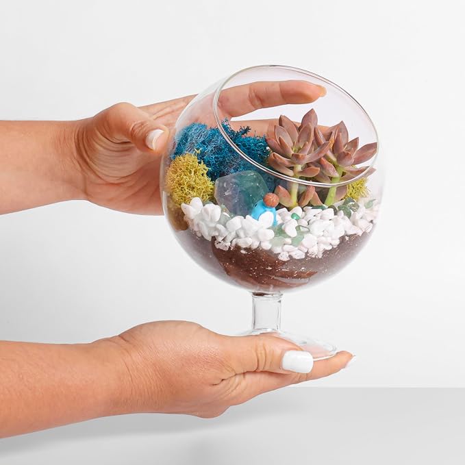 Creations by Nathalie DIY 6" Chalice Terrarium Kit Build Your Own Glass - Image 5