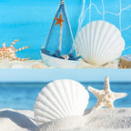 Jangostor 10 PCS Scallop Shells Natural Seashell, Fish Tank and Vase Filler - Image 6