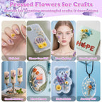 300 Pcs Pressed Dried Flowers - Image 5