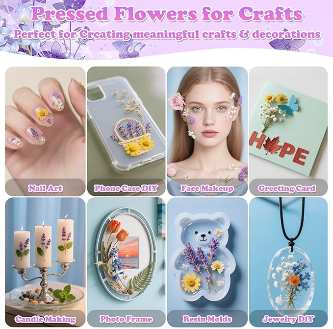 300 Pcs Pressed Dried Flowers - Image 5