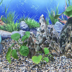 YISZM 5lbs Aquarium Gravel, 1/8" Natural River Rocks Succulent Cactus Pea Gravel - Image 5
