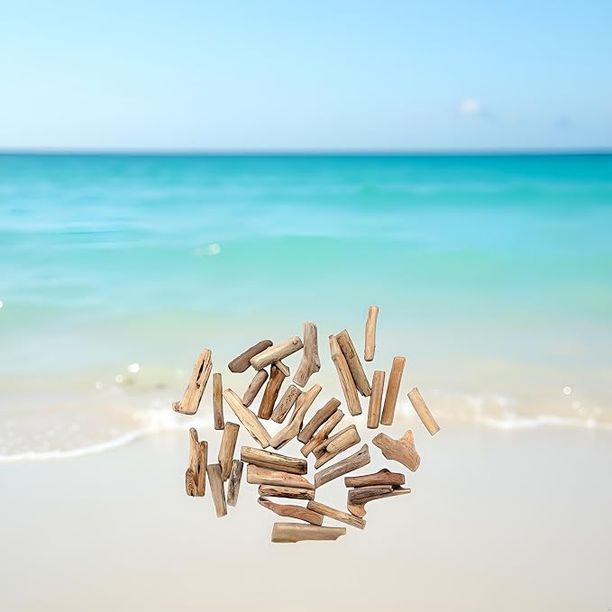 20 Pcs Wood Natural Driftwood Pieces Branch Slices Beach Decor - Image 5
