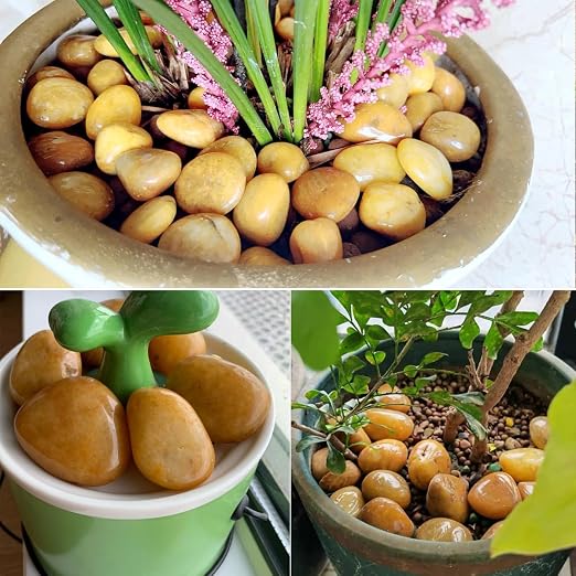 YISZM 40lbs Yellow River Rocks for Landscaping, 2-3 Inch Natural Pebbles for - Image 7
