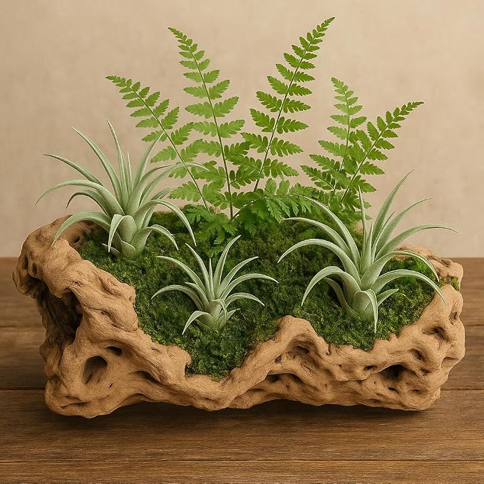 Koyal Wholesale 10" Hollow Grapewood Branch Decor 1Pcs Grapewood Centerpiece - Image 4