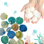 50 PCS Natural Sea Shells 1.6" to 2" White Scallop Shells - Image 3