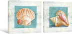 Seashell Wall Art Teal Ocean Theme Canvas Prints Bathroom Wall Decor Nautical - Image 2