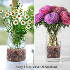 YISZM 5LB Succulent and Cactus Gravel Pebbles, 1/5 Inch Natural Decorative - Image 6