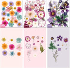 9 Packs of 200 Pressed Dried Flowers and Leaves - Image 5
