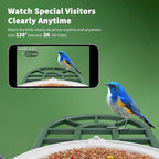 HARYMOR Smart Bird Feeder with Camera - Image 6