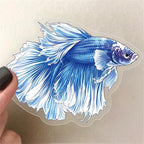 Clear PET Peacock Fish Sticker, Colourful-C16, - Image 2
