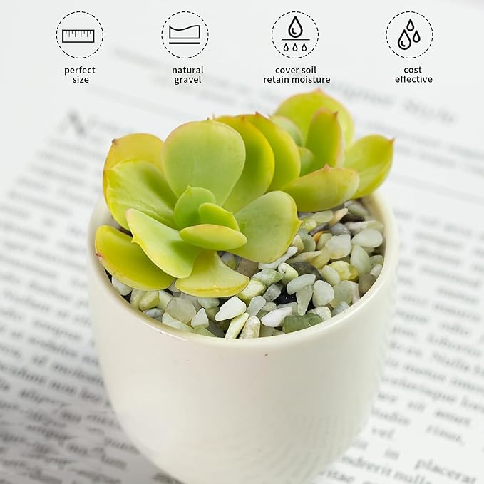 FANTIAN 2 lbs Jade Rocks for Plants Indoor, 1/4 inch Small Pebbles for Plants - Image 6