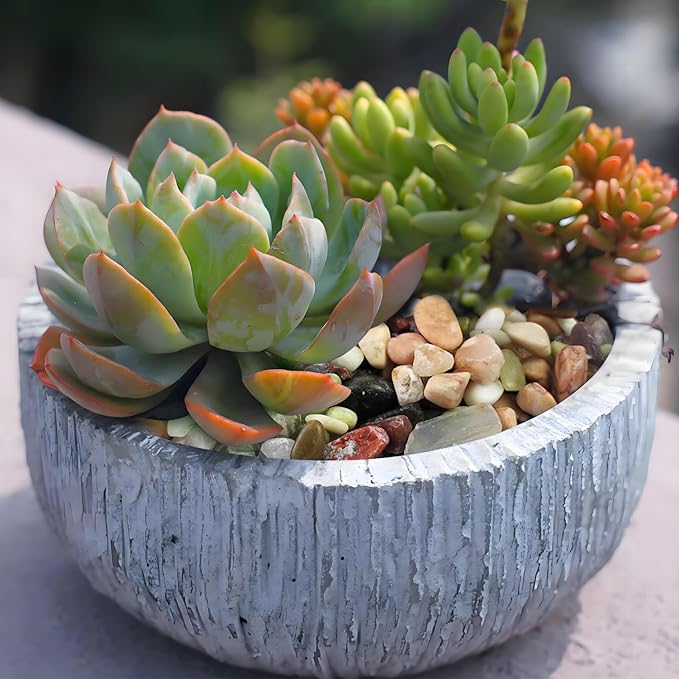 FANTIAN 5lbs Small Succulent Rocks, 3/8 Inch Colorful Pebbles - Image 5