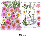 Woohome 160PCS Real Pressed Flowers, Dried Pressed Flowers Colorful Real - Image 4