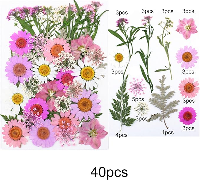 Woohome 160PCS Real Pressed Flowers, Dried Pressed Flowers Colorful Real - Image 4