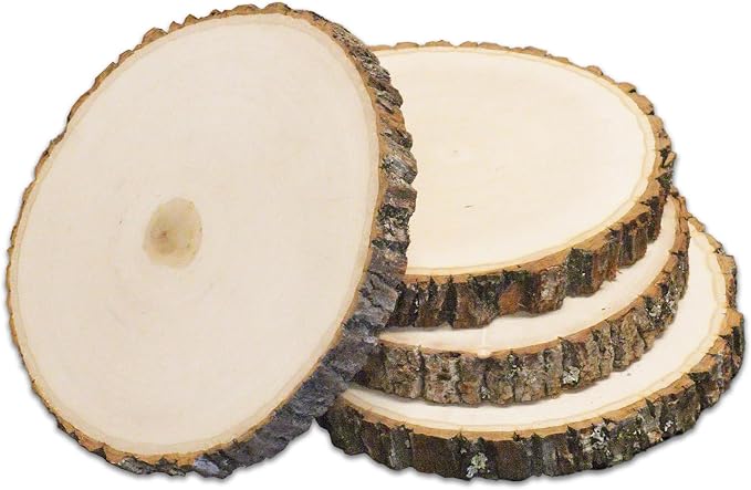 Wilson 4 Pack Basswood Round Rustic Wood Slice, Sanded Side, 9-12" Diameter by Wilson