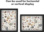 Americanflat 12x16 Shadow Box Frame - Image 4