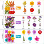 181 pcs Dried Flowers for Resin, Natural Flowers and Leaves Kit - Image 2