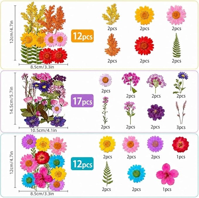181 pcs Dried Flowers for Resin, Natural Flowers and Leaves Kit - Image 2