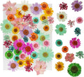 43Pcs Dried Pressed Flowers for Resin, Real Flowers Dry Leaves Bulk Natural by Threenine