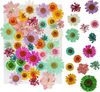 43Pcs Dried Pressed Flowers for Resin, Real Flowers Dry Leaves Bulk Natural by Threenine