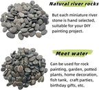 CYLHCM 100PCS Tiny Painting Rocks, DIY Pebble - Image 3
