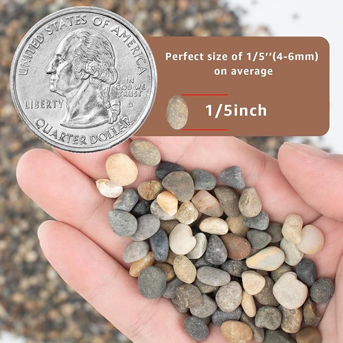 5LB Natural River Rocks, 1/4" Aquarium Gravel, Small Pebbles - Image 3