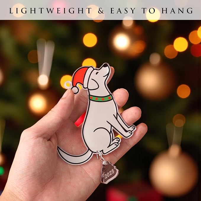 God Say You are Christian Christmas Ornament 2025, God Says I am 2D Flat - Image 5