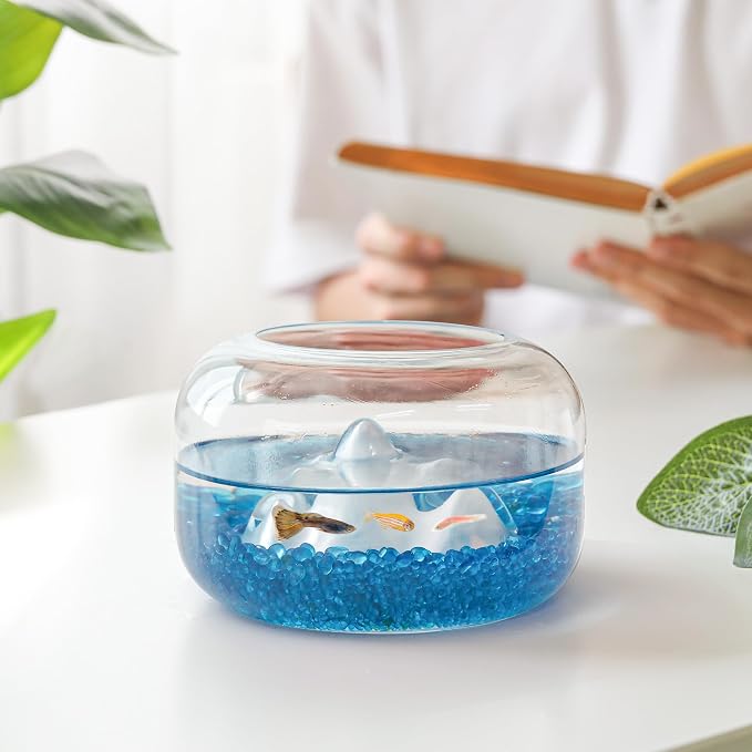 T4U Aquarium Gravel Rocks, succulent top dressing, vase filler, terrariums and - Image 2