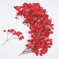 50Pcs Red Babys Breath Dried Pressed Flowers by Unknown