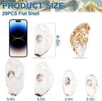 QICQDRAM 20PCS Flat Oyster Shells 4"-5" Large Oyster Shells - Image 2