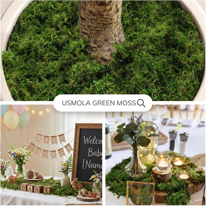 USMOLA 8OZ Fake Green Moss for Crafts, Terrariums, Fairy Gardens & Indoor Plants - Image 3