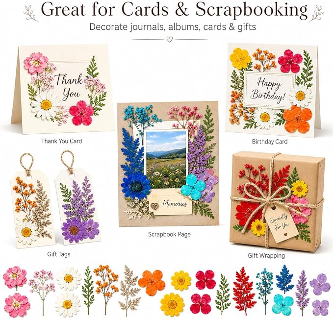 155 pcs Dried Flowers for Resin, Natural Flowers and Leaves Kit - Image 7