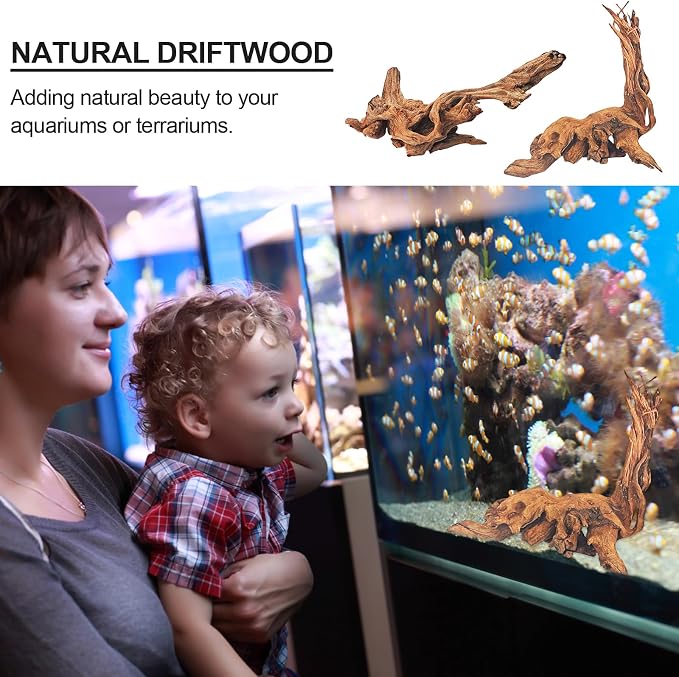 Natural Driftwood Decor for Aquarium Decorations Reptile Tank Accessories - Image 2