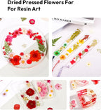 Dried Flowers, Resiners 174Pcs Pressed Flowers - Image 7