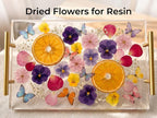 100 PCS Real Dried Pressed Flowers, Mix Natural Dried Pansy Citrus - Image 5