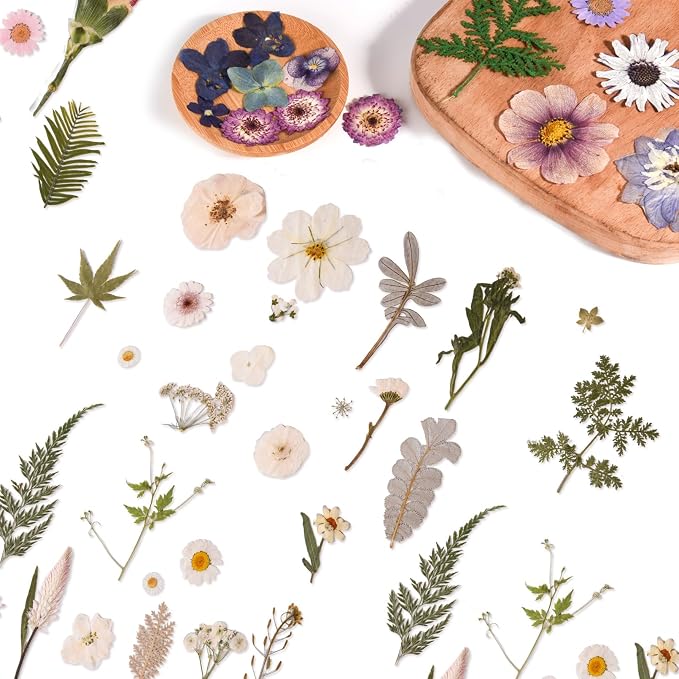 80PCS Natural Color Pressed Dried Flowers, Real Pressed Flowers, - Image 4