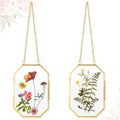 Qunclay 2 Pcs Double Glass Frame by Qunclay