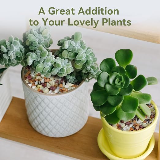 Pulovin 10 lbs Pebbles for Indoor Plants, Succulent Rocks, 3/8" Polished - Image 4