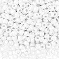 QPIXVB 1100PCS White Pony Beads, Friendship Bracelet Beads Kit, Bead by QPIXVB