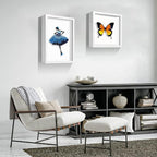 5x5 White Small Shadow Box Frame Display Case, Display Case Box - Image 5