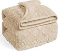 Wemore Weighted Blanket for Adults Twin Size 20 lbs, Dual Sided Soft Fuzzy by WemoreDirect