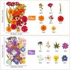 173 pcs Dried Flowers for Resin, Natural Flowers and Leaves Kit - Image 2