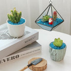 T4U Aquarium Gravel Rocks, succulent top dressing, vase filler, terrariums and - Image 8
